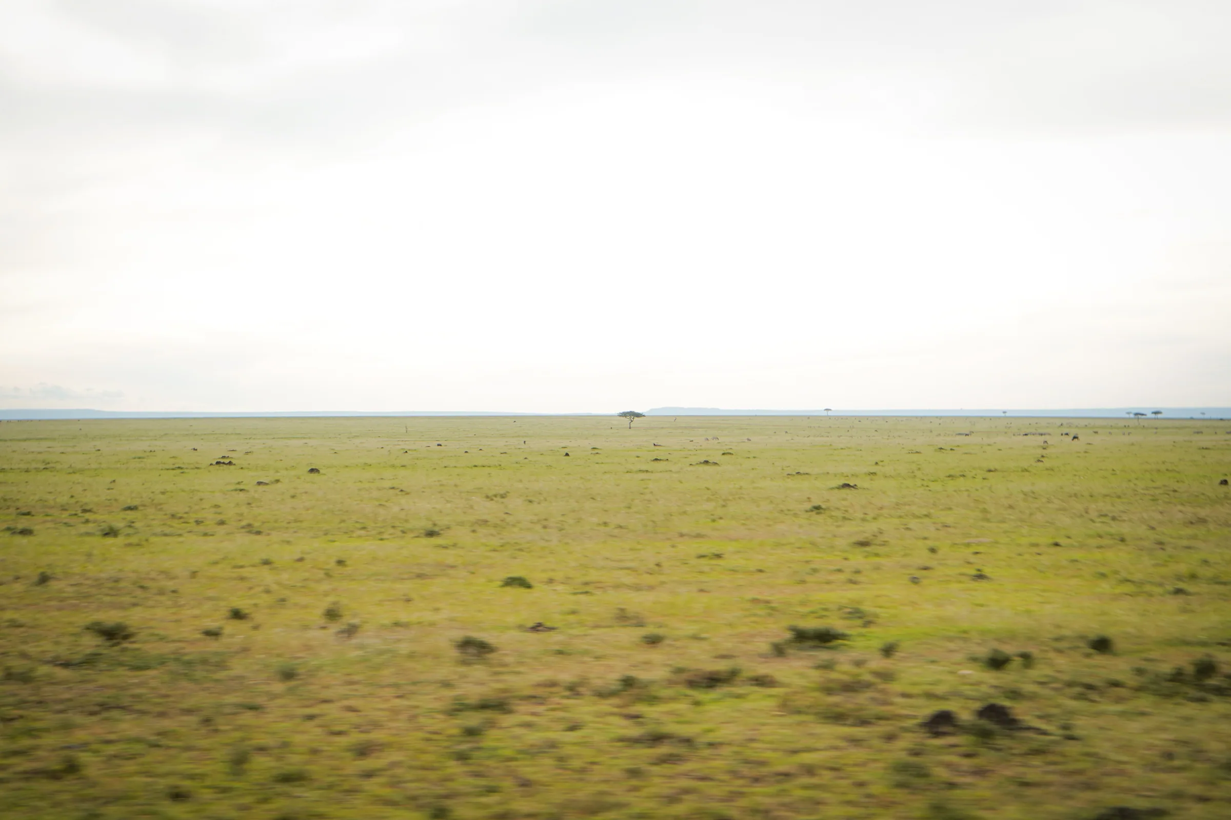 The family land in Meru at dusk
